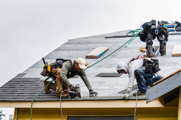 Professional Roofing technician working in New Carlisle, IN